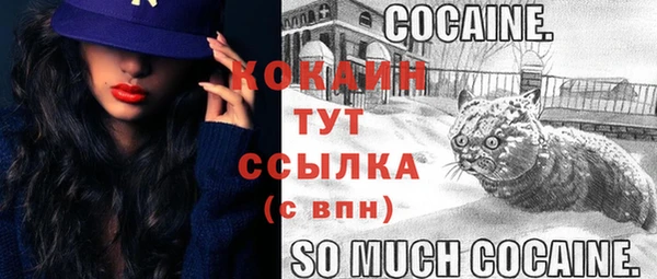 ПСИЛОЦИБИНОВЫЕ ГРИБЫ Беломорск