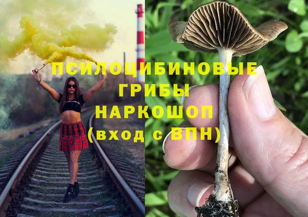 ГАЛЛЮЦИНОГЕННЫЕ ГРИБЫ Баксан